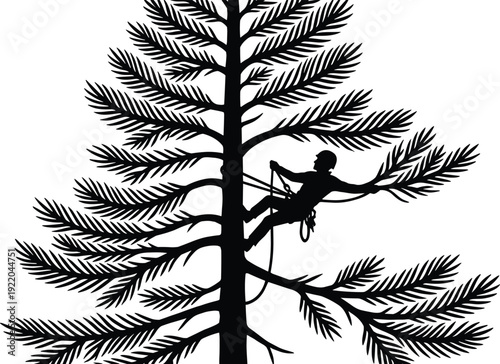 Silhouette illustration of professional arborist climbing tall conifer tree using rope safety harness, depicting tree care, pruning, forestry work, outdoor adventure, and environmental conservation 