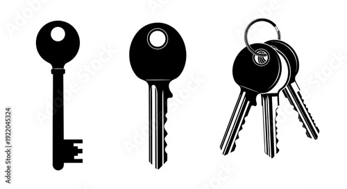 Set of keys and keyring with multiple keys displayed against a clean background from a straightforward viewpoint