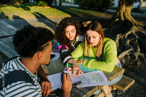 College students studying at a park