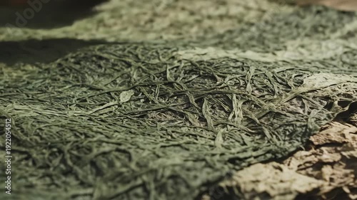 Abstract close-up footage of tangled green fibers being touched by a hand  on a surface texture