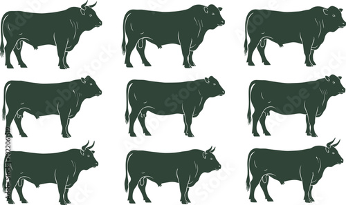 Farm cow silhouettes set, cattle side view poses, livestock collection, rural animal shapes, dark green vector illustration isolated on white background