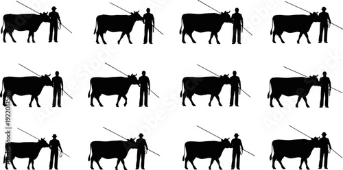 Farmer with ox silhouettes collection, rural agriculture scene showing cattle handling poses, traditional farming vector illustration set, black isolated design elements