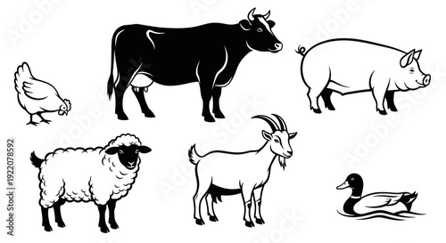 Farm Animals Collection: Cow, Pig, Sheep, Chicken, Goat, Duck - Vector Icons