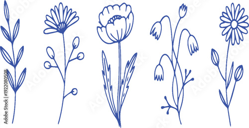 Collection of blue line art drawings of various wildflowers and plants on a white background
