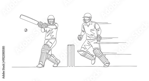 Cricket Players in Action