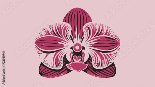 Pink Orchid Flower