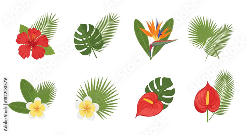 Tropical flowers with palm leaves flat icon set isolated on white background. Exotic plant, hibiscus jungle pattern. Tropic strelitzia, plumeria leaf, anthurium logo. Hawaiian poster flyer elements