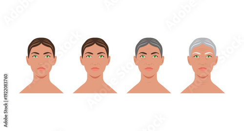Flat portraits of women at four different ages isolated on a white background. Flat illustration showing at four different ages