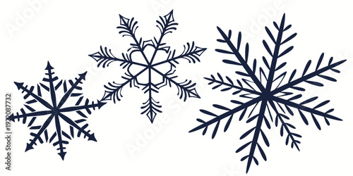 Three distinct snowflakes showcasing the unique beauty of winter precipitation.