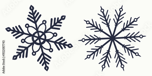 Two intricately designed snowflakes showcasing unique symmetrical patterns and delicate details