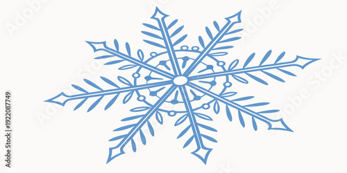 A detailed and intricate snowflake design with delicate ice crystals and branches