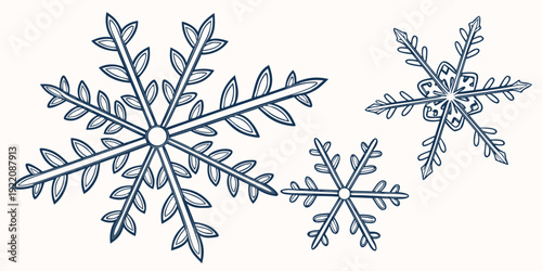 Three intricately designed snowflakes with unique patterns and structures.