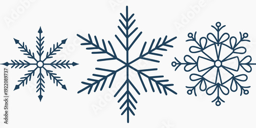 Three distinct snowflakes showcasing intricate and unique crystalline patterns