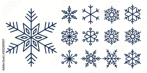 A collection of twelve intricately designed snowflakes in various patterns