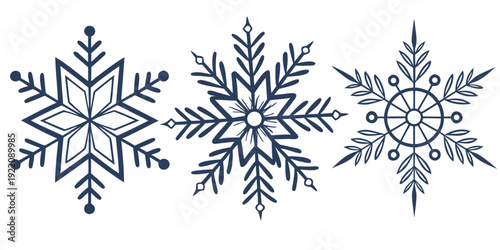 Three distinct snowflakes showcasing unique intricate patterns and symmetrical designs.