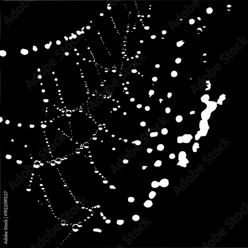 Catching morning dew: marvel at the intricate beauty of a spiderweb glistening in the early light today