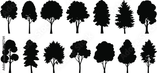 Tree silhouettes collection, deciduous and evergreen forest trees isolated black vector set for landscape design illustration
