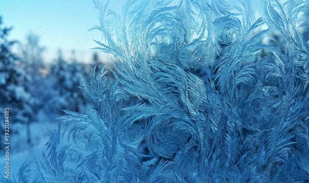Obraz premium Ice Frost