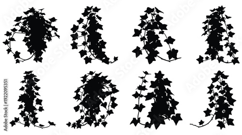 Silhouette ivy leaf branch set isolated on transparent grid for landscape garden elements