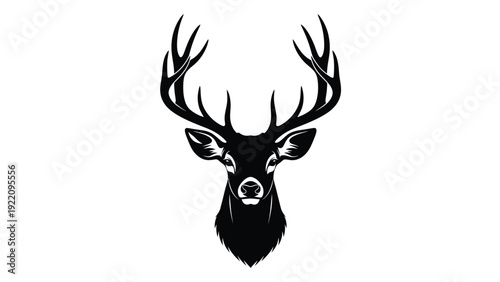 A black and white image of a deer's head with antlers isolated on white background, Vector