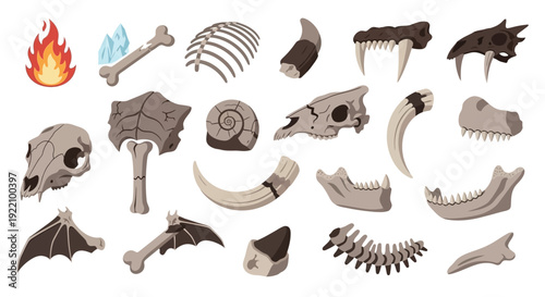 Collection of Dinosaur Fossil Bones and Skull.