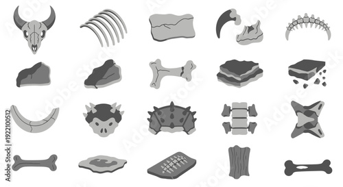 Collection of Various Animal Bones and Skulls.