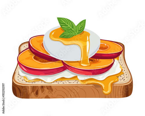 Gourmet Poached Egg Toast with Fresh Peach Slices and Savory Toppings for Creative Brunch Meal - Vector Illustration