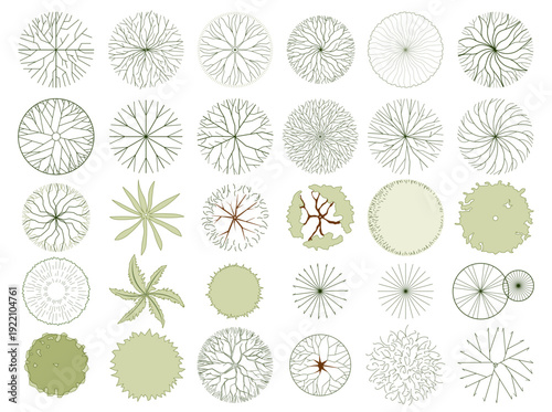 Tableau sur toile Technical drawings of Trees in top view, editable vector on white background, landscape design and architectural projects