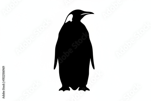 Penguin silhouette: A striking silhouette of a penguin stands in stark contrast, embodying the elegance of the Antarctic realm.