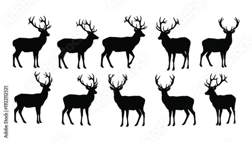 A group of deer silhouettes standing in different poses isolated on white background, Vector