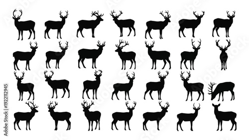 A large group of deer silhouettes standing in various poses isolated on white background, Vector