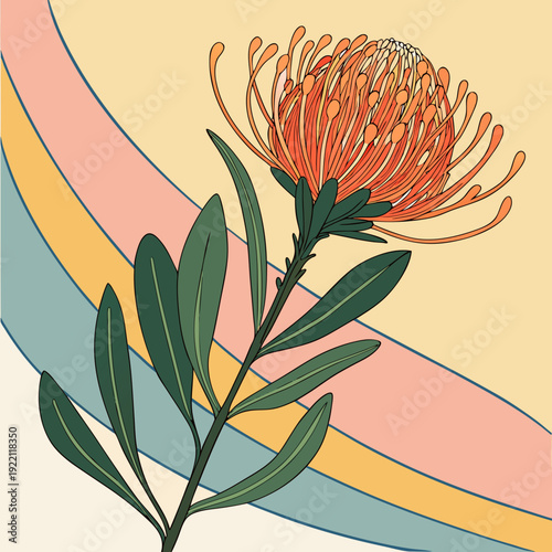 Vibrant Pincushion Protea Flower Illustration with Retro Rainbow Background.