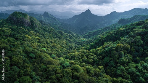 Tropical rainforest canopy aerial biodiversity conservation concept positive impact close up adventure theme realistic Fusion mountain valley backdrop.