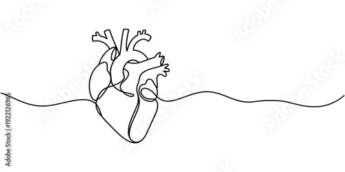 Single continuous line art anatomical human heart silhouette. Healthy medicine concept design one sketch outline drawing vector illustration.