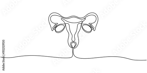 Human reproductive system one line continuous drawing. Human organ continuous one line illustration. Vector minimalist linear illustration, one line outline vector illustration for women's health.
