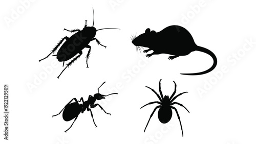 Silhouettes of a mouse, spider, ant and beetle isolated on white background, Vector