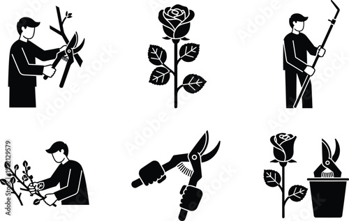 Gardening pruning shears and rose plant care silhouette set with gardener trimming vector icons