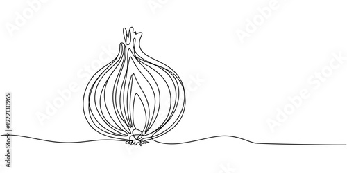onion continuous one line drawing, one line drawing illustration of onion vegetable, Self drawing animation of single line draw of whole healthy freshness.