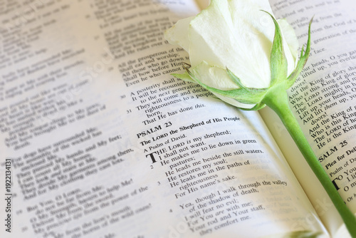 Bible open to Palams 23 with a  white  rose on the page.