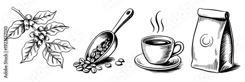Coffee beans hand drawn sketch set with branch leaves, scoop of roasted beans, steaming cup on saucer, and paper bag packaging, vintage ink line art icons