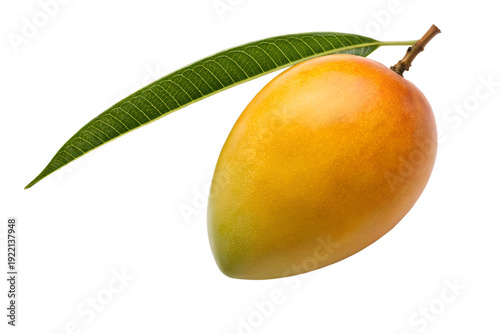 Fresh Ripe Mango Whole Orange Yellow Tropical Fruit Leaf Stem Closeup