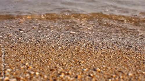 Shell Fragment Dance Extreme close-up of tiny shell fragments and pebbles, gently agitated by shallow water.