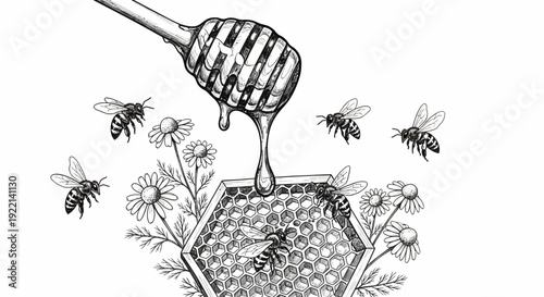 Honey dripping from a dipper onto honeycomb with bees and flowers vector illustration