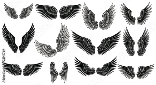 Diverse collection of bird and angel wings in different styles and positions for mythology and heraldry projects.