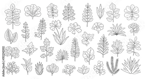 Extensive collection of botanical leaf illustrations in black and white line art style featuring diverse shapes and plant types.