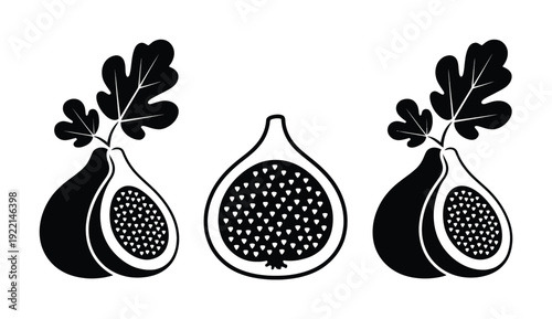 Stylized Black and White of Figs with Leaves