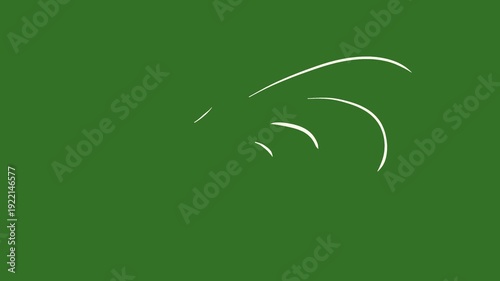 vector white lines wind effect on green screen, UI motion graphics. alpha adjustment layer, smooth animated line filter, 2d animation