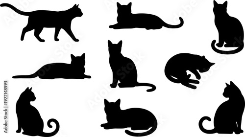 Cat silhouettes set, domestic feline pet collection, sitting walking lying kitten poses isolated vector illustration for animal design elements