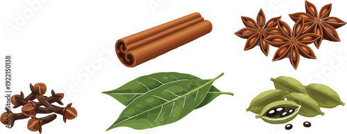 Spice Ingredients Vector Illustration with Cinnamon Cloves Star Anise Cardamom and Bay Leaf Collection