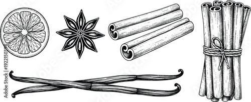 Vintage Engraved Spice Set Vector Illustration with Cinnamon Vanilla Star Anise and Citrus Slice